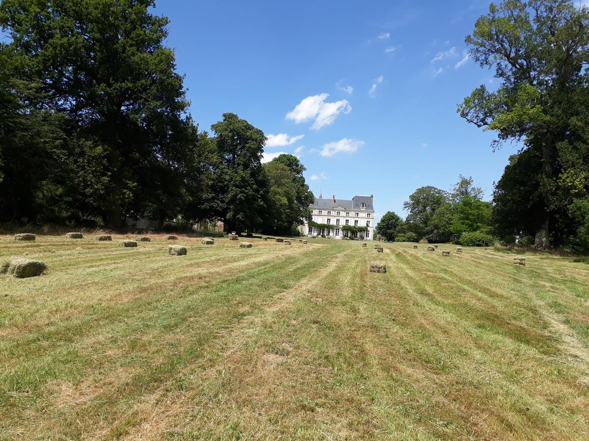 Chambres D'Hotes Chateau De La Puisaye Verneuil d'Avre et d'Iton Exterior foto